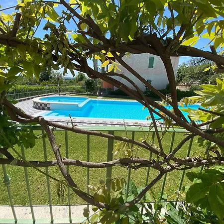 Gardoncino *